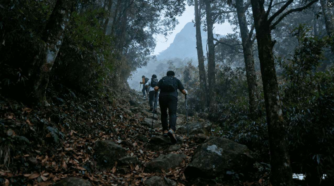 暴喵加速器对外网访问的效果与稳定性分析